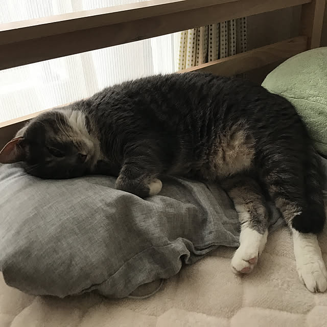 Machikoさんの実例写真