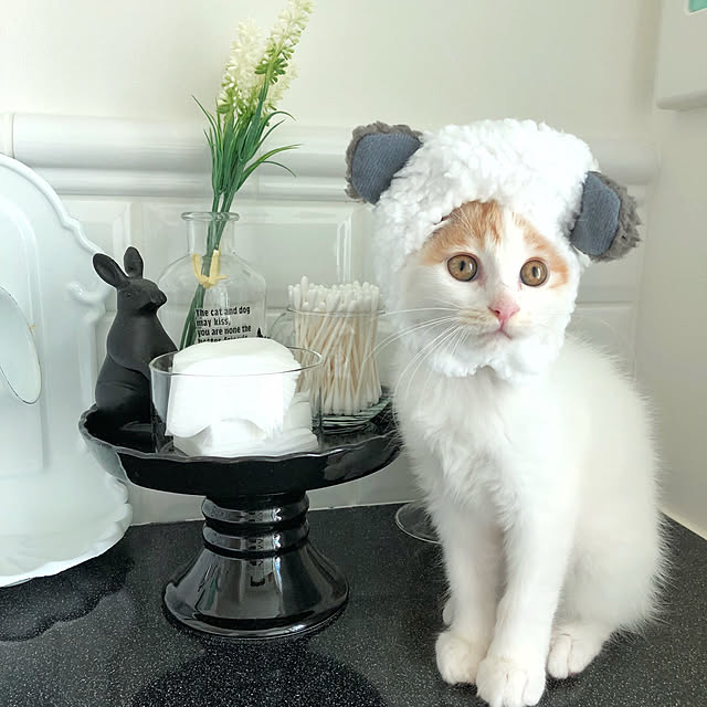 yuchiさんの実例写真