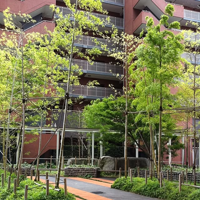 cyokotaroさんの実例写真