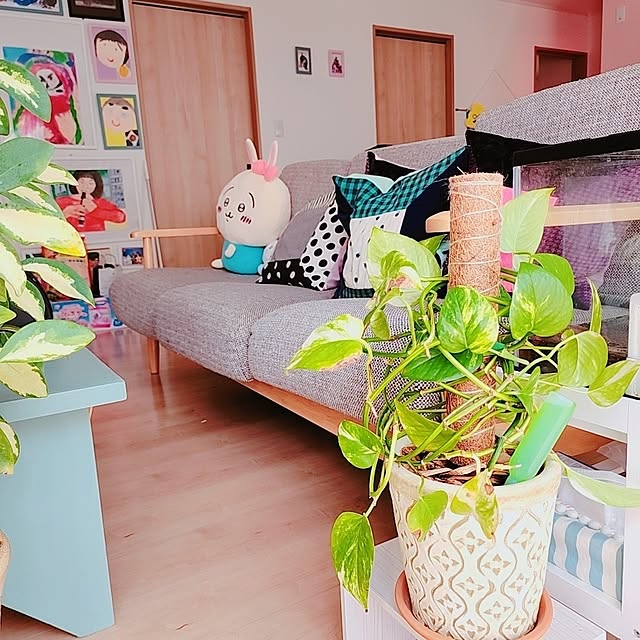 saさんの実例写真
