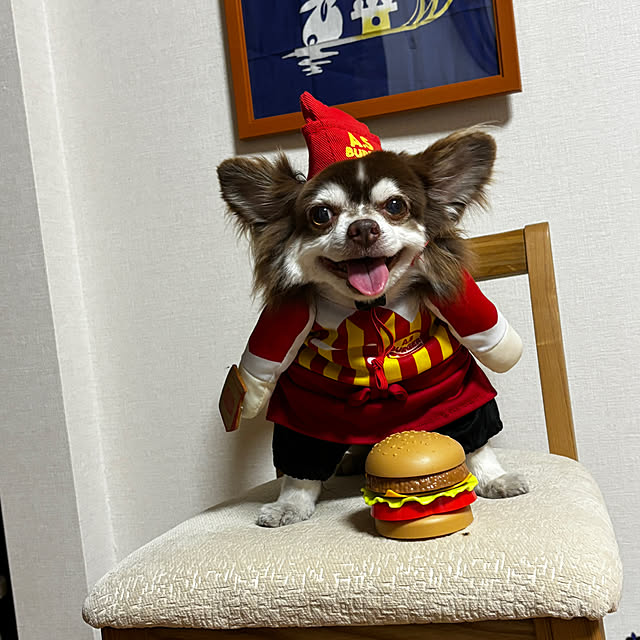 chIoeさんの部屋