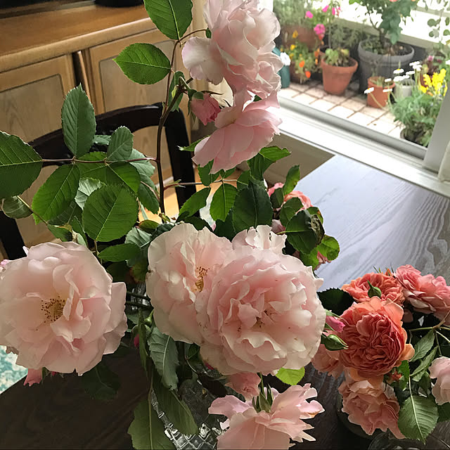 okonさんの実例写真