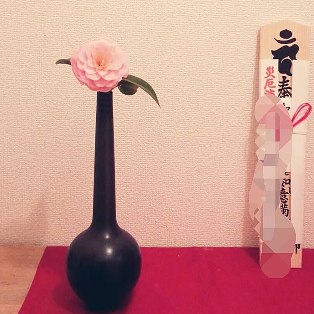 annaさんの実例写真