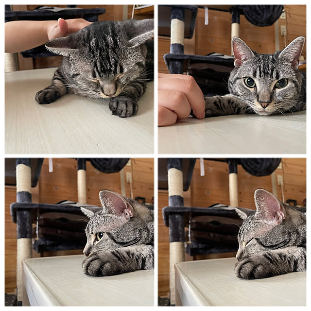 yumiさんの実例写真