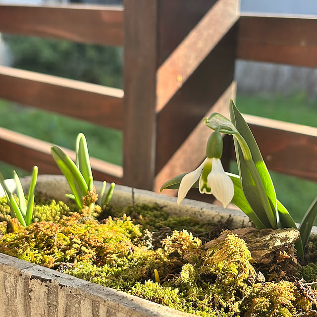 kyoko1124koさんの実例写真