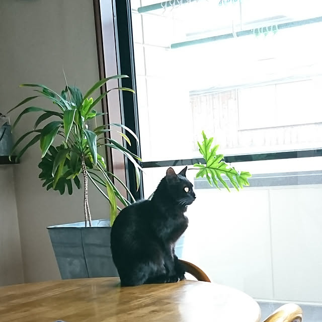 Kさんの実例写真