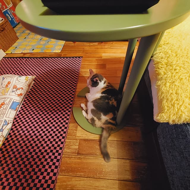 kumutanさんの実例写真