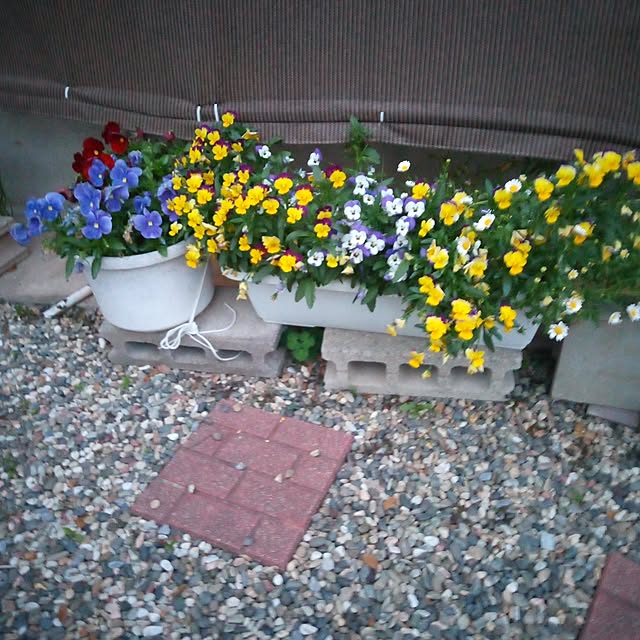 PIKMINさんの部屋