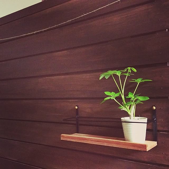 chirukaさんの実例写真