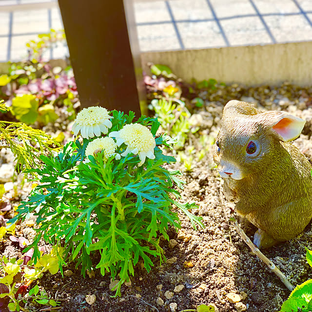 hinamamaさんの実例写真