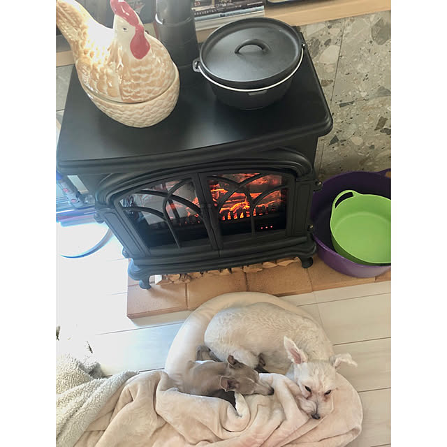 suzyさんの実例写真
