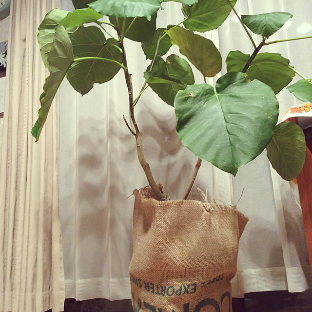 heidiさんの部屋