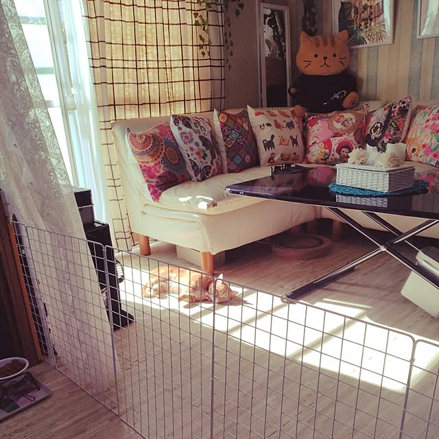 runaさんの実例写真