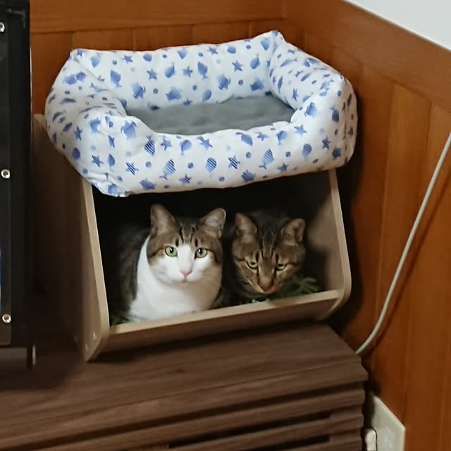nachiさんの実例写真