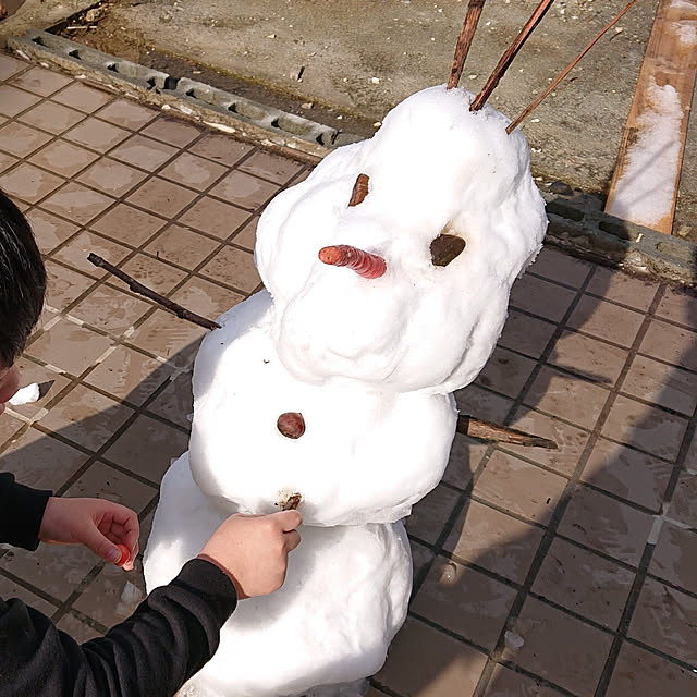nekosamaさんの実例写真