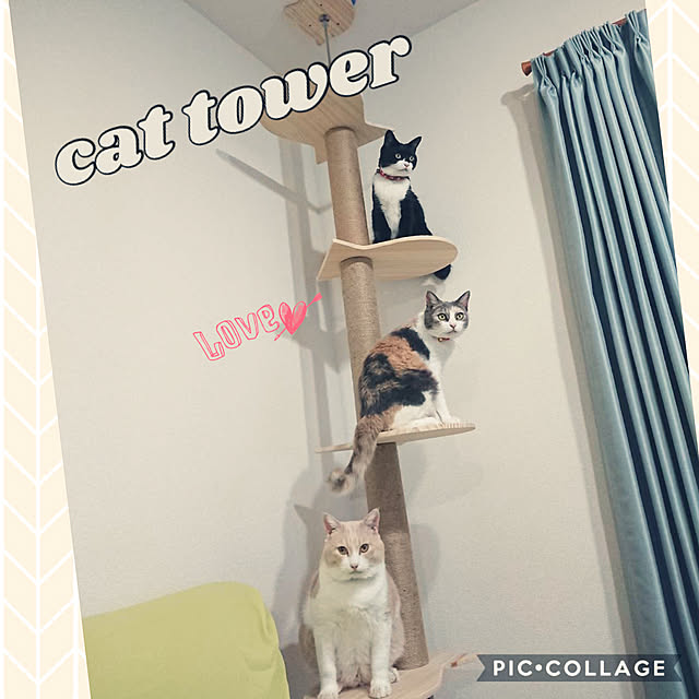 yasukoさんの実例写真