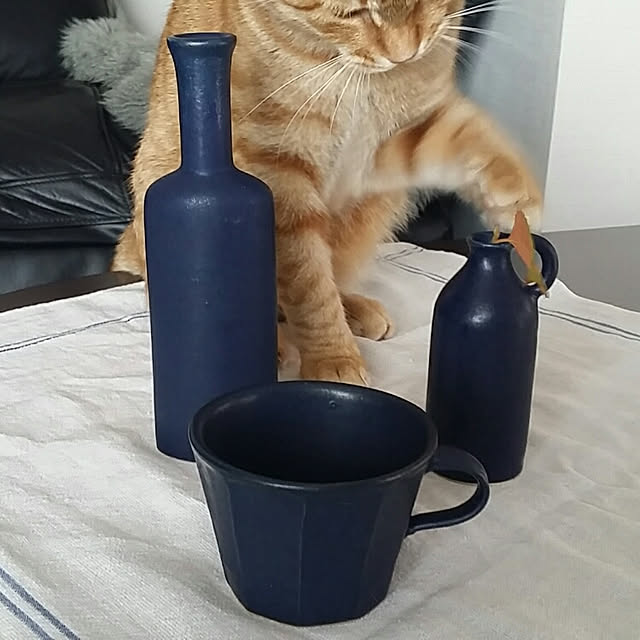 rapin8226さんの実例写真