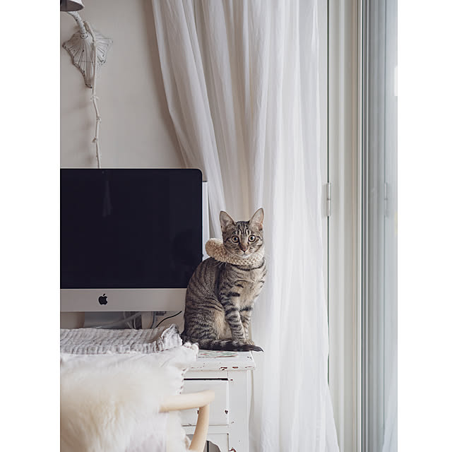 oliveさんの実例写真