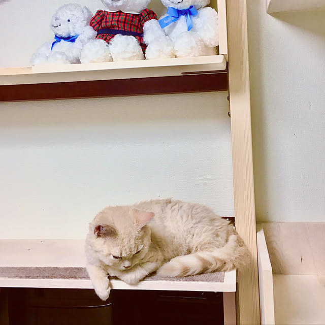 naokoさんの実例写真
