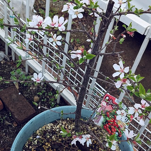 Bienvenueさんの部屋