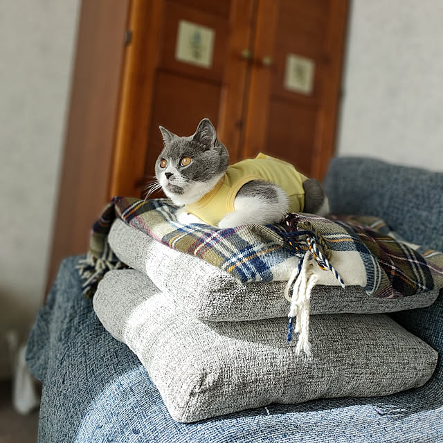 KEIKOさんの実例写真