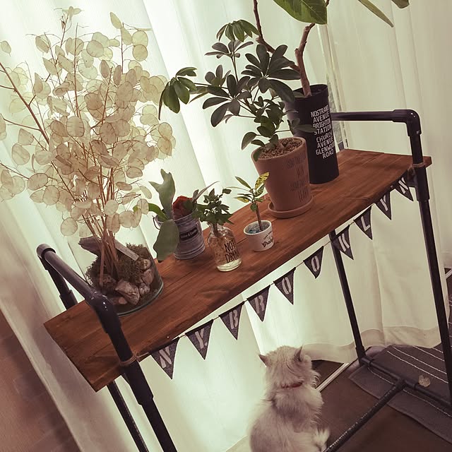 mikiさんの実例写真
