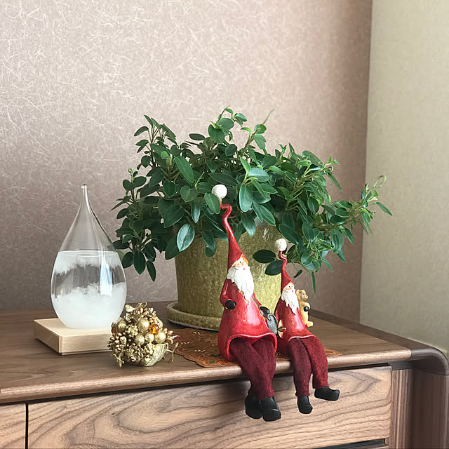 Saraさんの実例写真