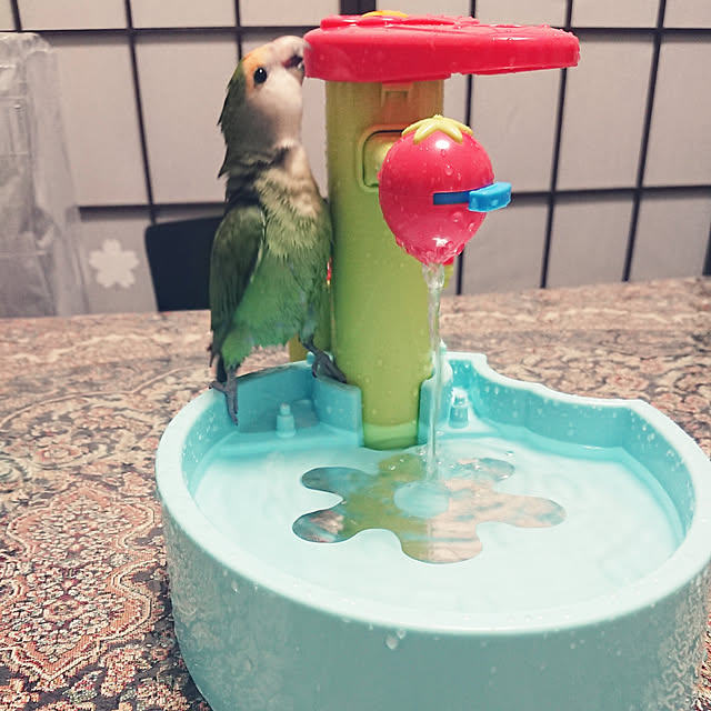 MIUOOさんの実例写真
