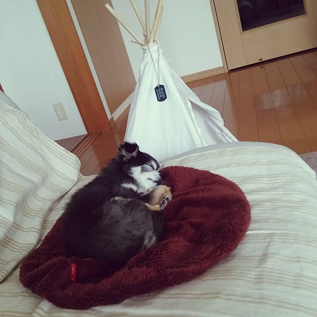 satominさんの実例写真