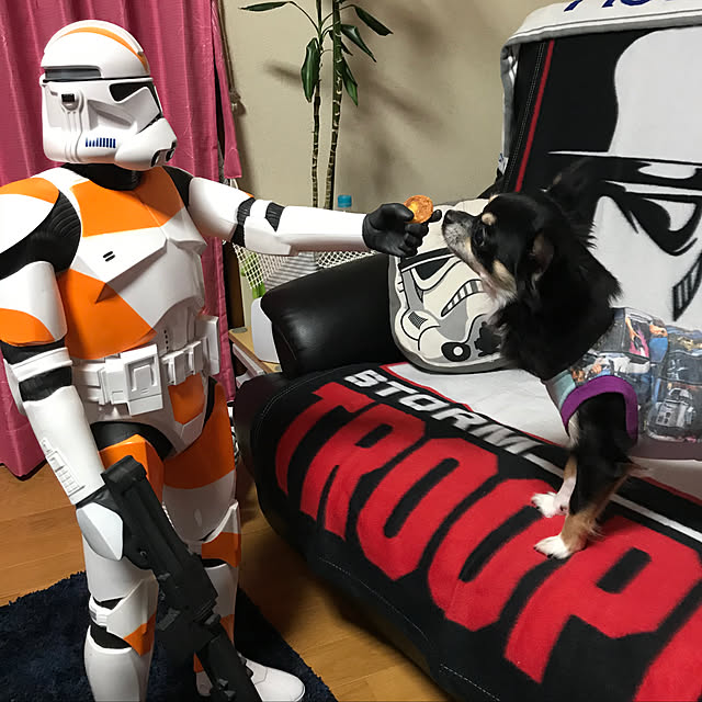 shinoshinoさんの実例写真