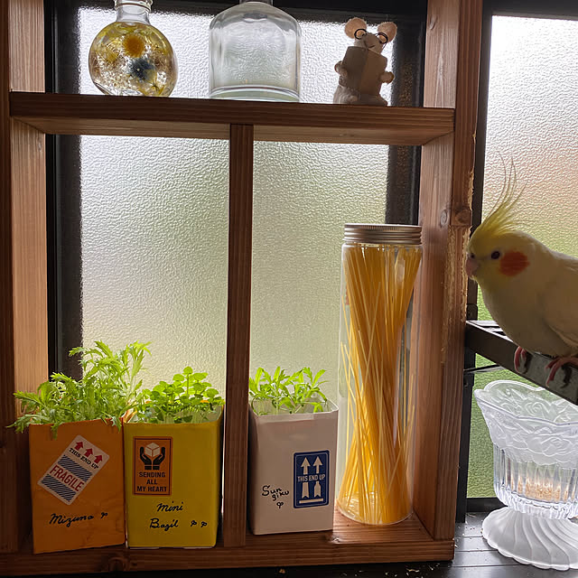mimoza.さんの実例写真