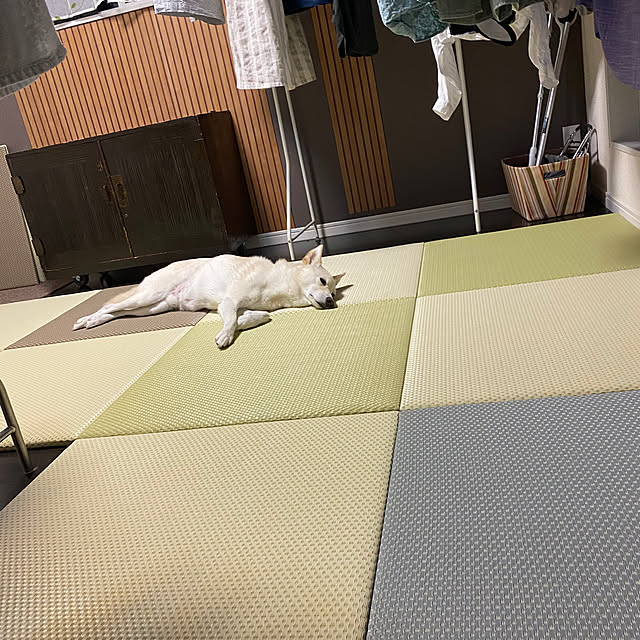 tanboさんの部屋