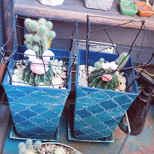 portulacaさんの実例写真