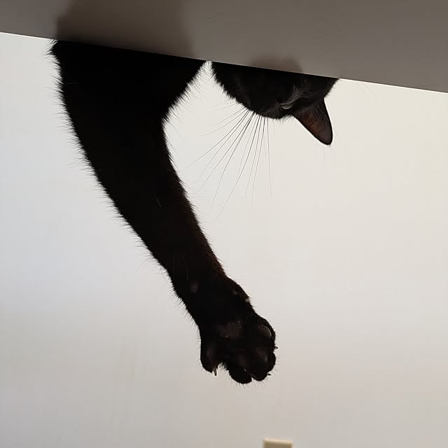asaさんの部屋