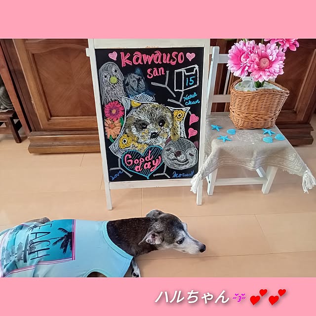 moruさんの部屋