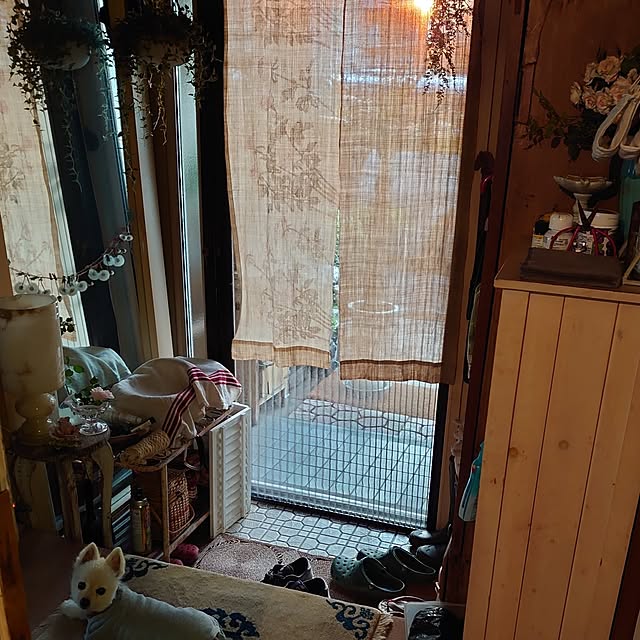 akaidarumaさんの部屋