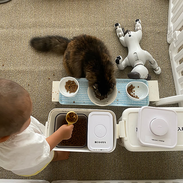 mikomaruさんの実例写真