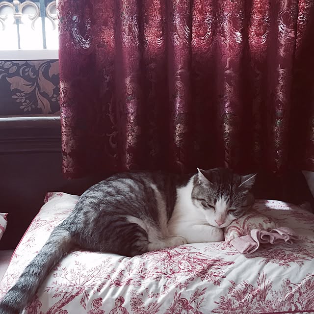 emmyyさんの実例写真
