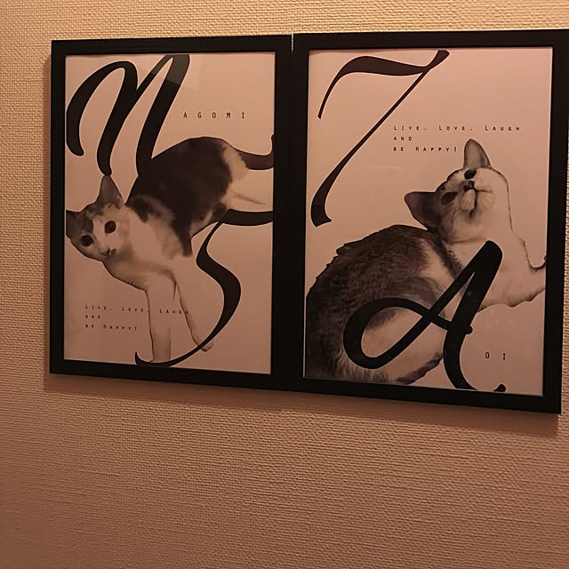 実例写真