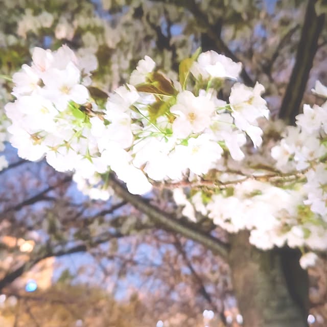 mariaさんの部屋
