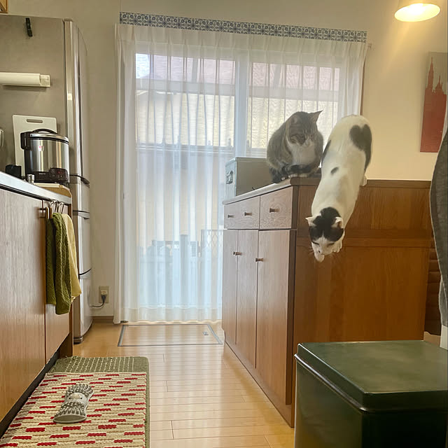 nobikoさんの実例写真