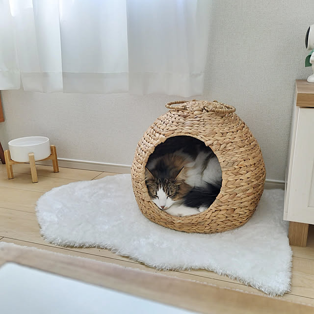MichelinAyakaさんの実例写真