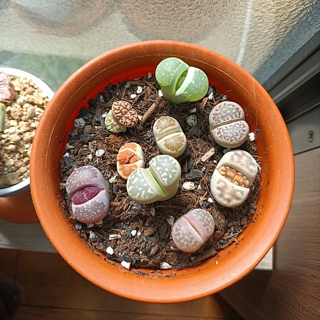 tomo5さんの部屋