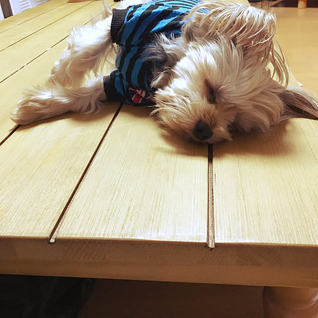 marcheさんの実例写真