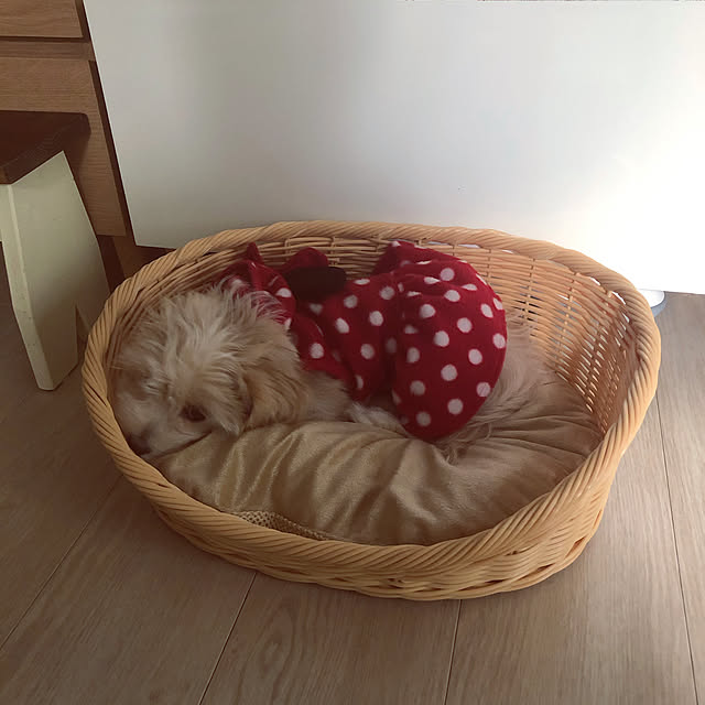 sachieさんの実例写真