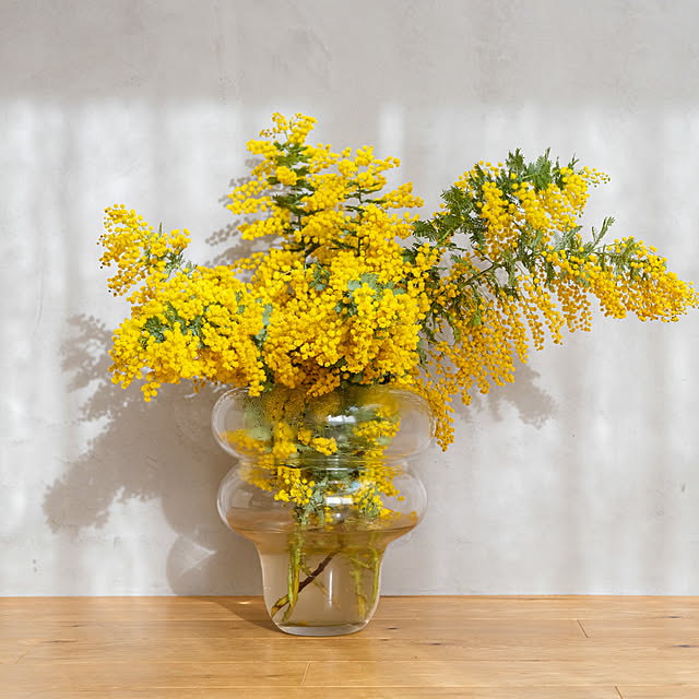 shiiiさんの実例写真