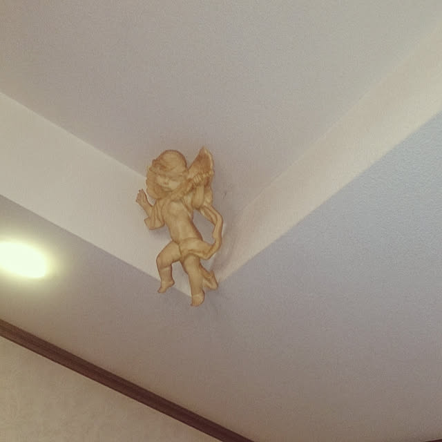 junkn6さんの実例写真