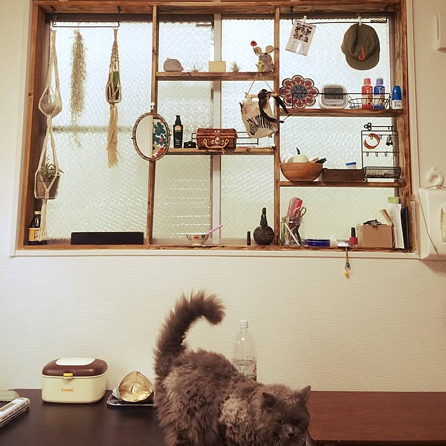 mochiさんの実例写真