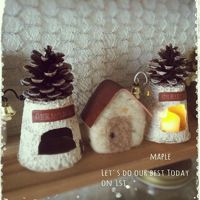 mapleさんの実例写真