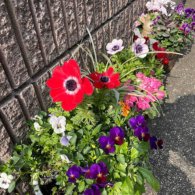 emikoさんの実例写真